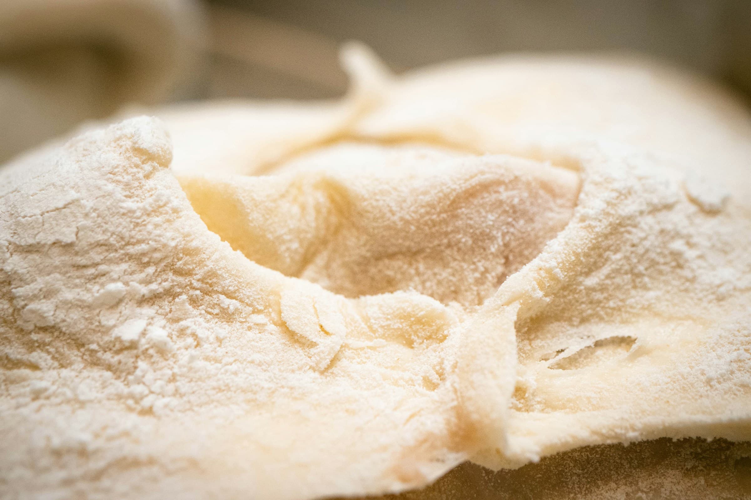 Close-up of dough dusted with flour